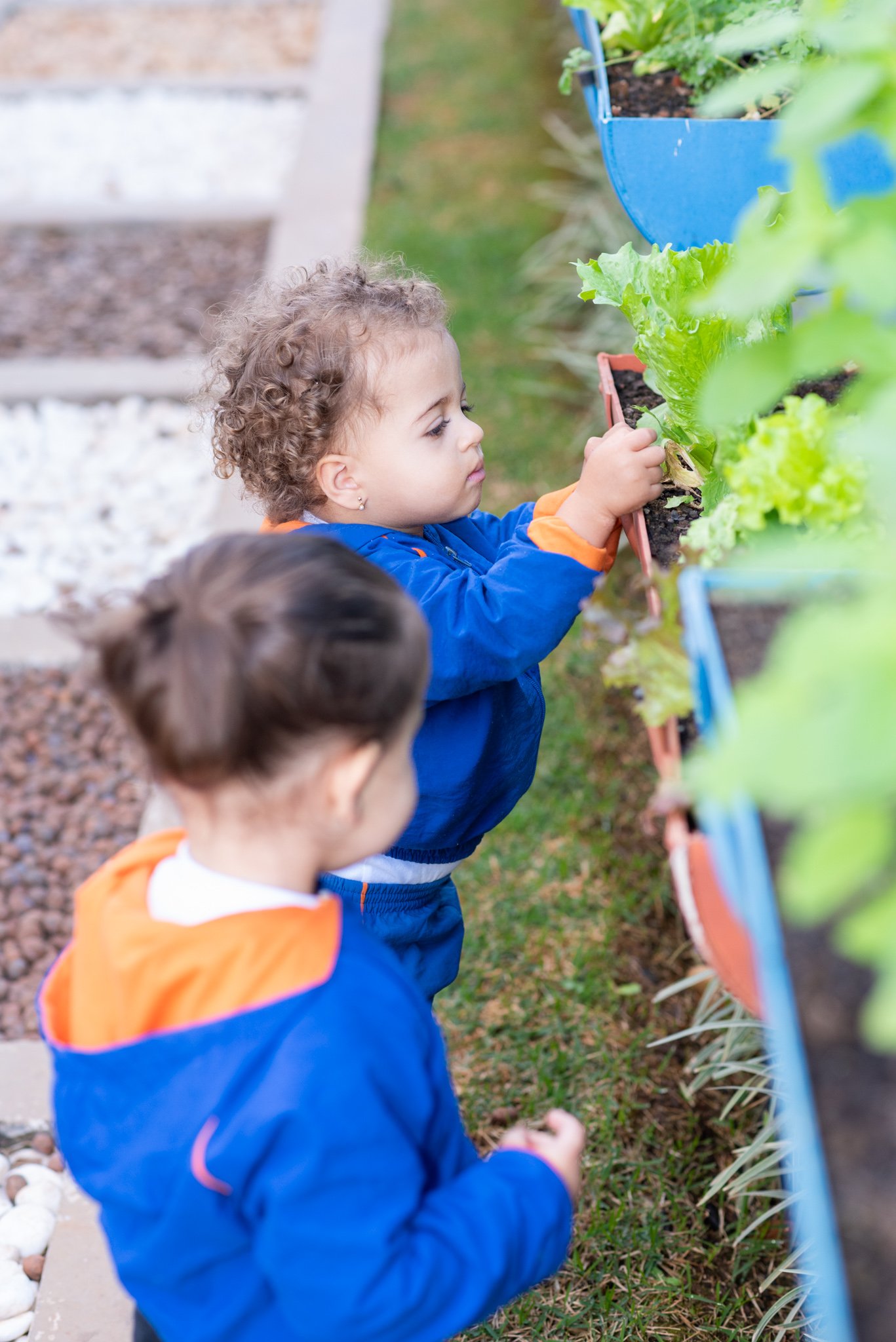 Crianças cuidando da horta no jardim do ITB Belvedere